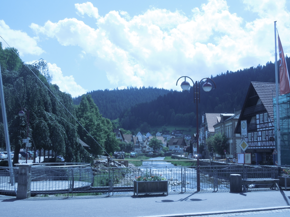 Gesangverein Nüst Chorfahrt Elsass 2016